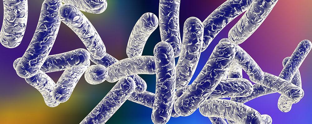 Legionnaires disease injury attorney Illinois